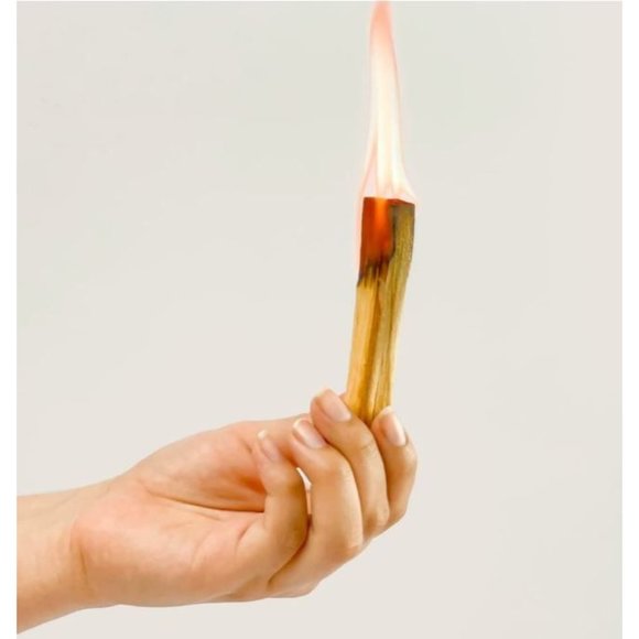Palo Santo Smudging Sticks. High Resin Wood Incense - Wild Harvested Smudging - Picture 5 of 5